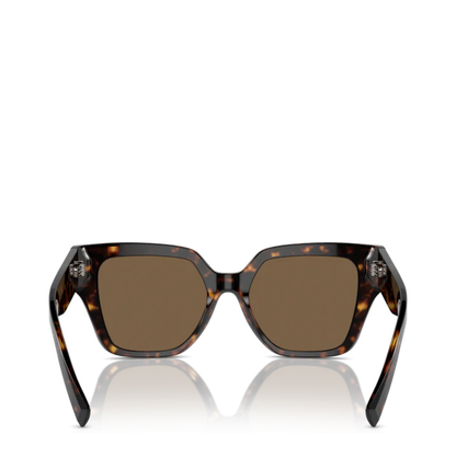 Sunglasses Brown