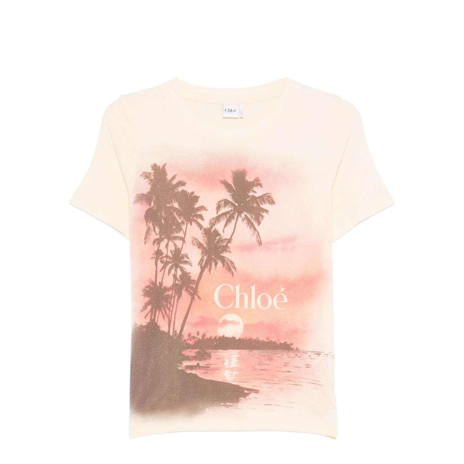 Logo T-Shirt in Cotton Jersey