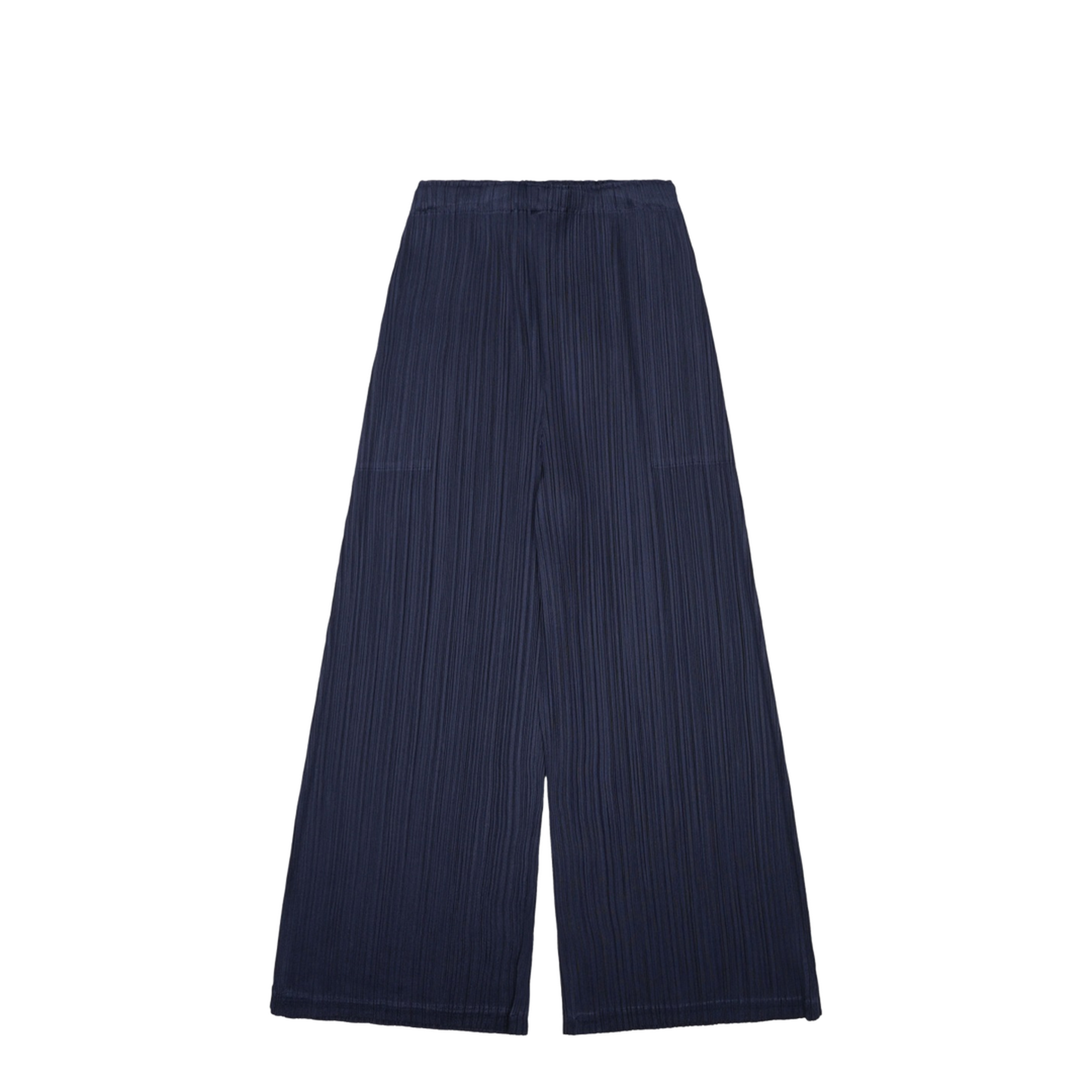 Pleated Pants