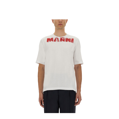 Cotton T-Shirt with Maxi Print