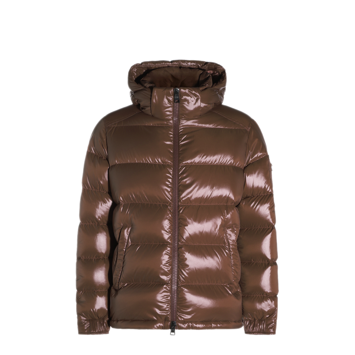 Polar Tech Hooded Down Jacket
