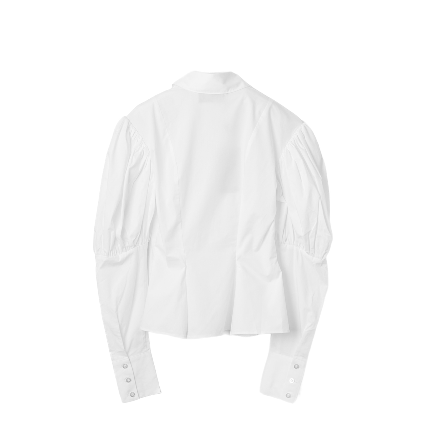 Printed Short Sleeve T-Shirt