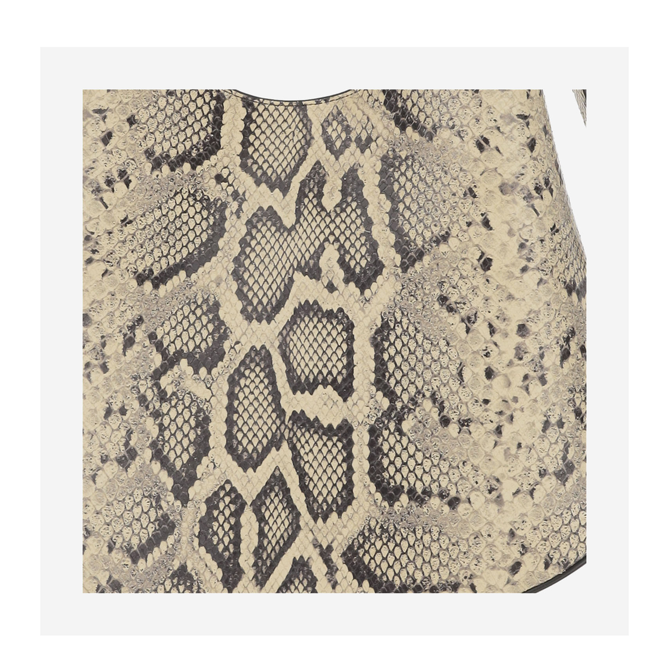 Eldorado Python-Print Leather Shoulder Bag