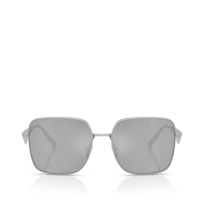 Sunglasses Silver