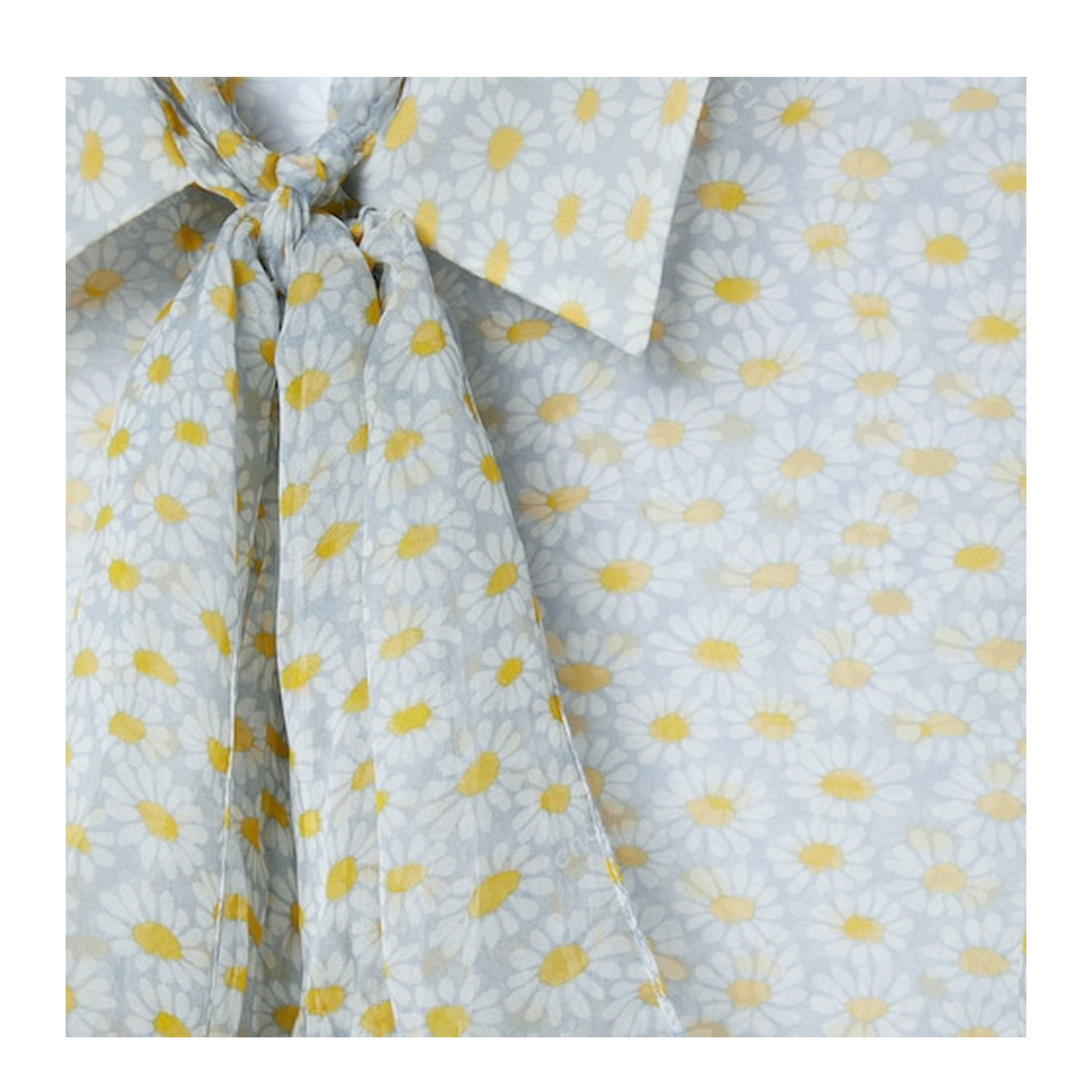 Printed Silk Chiffon Shirt in Multicolor