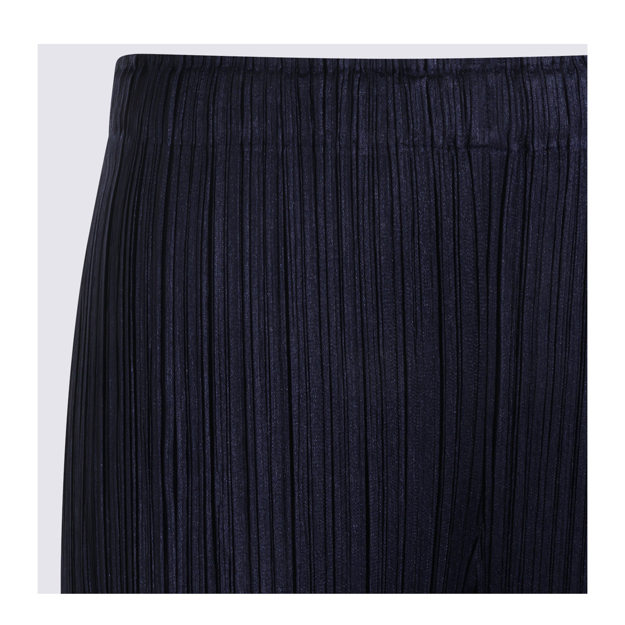 Pleated Pants