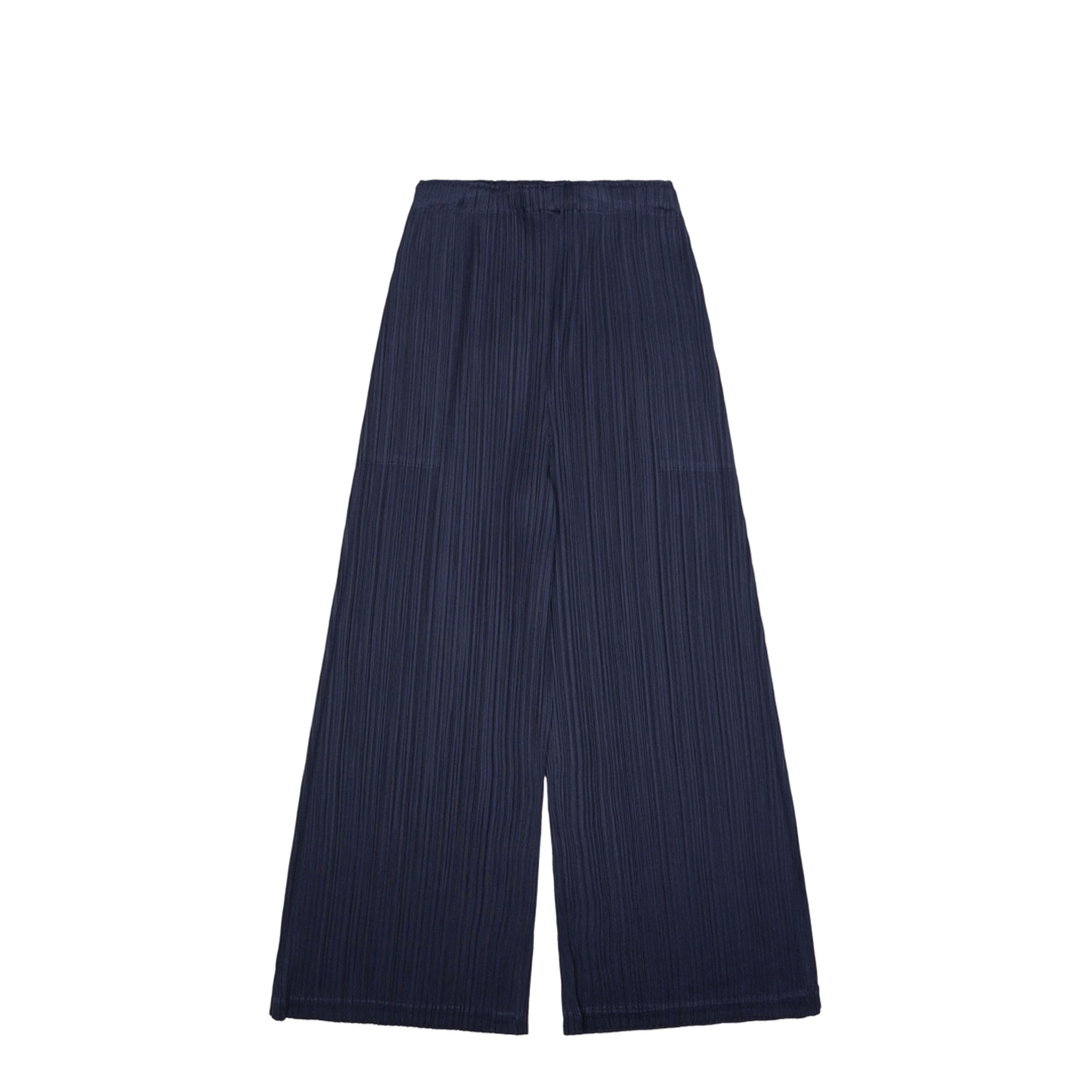 Pleated Pants
