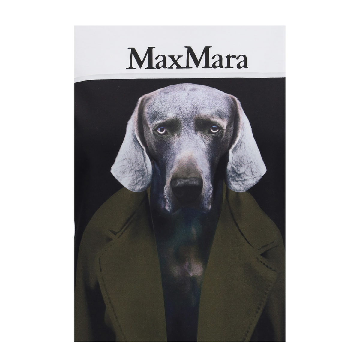 MAYFEYR - Max Mara - Calca Graphic Print T Shirt - 2621946071600010