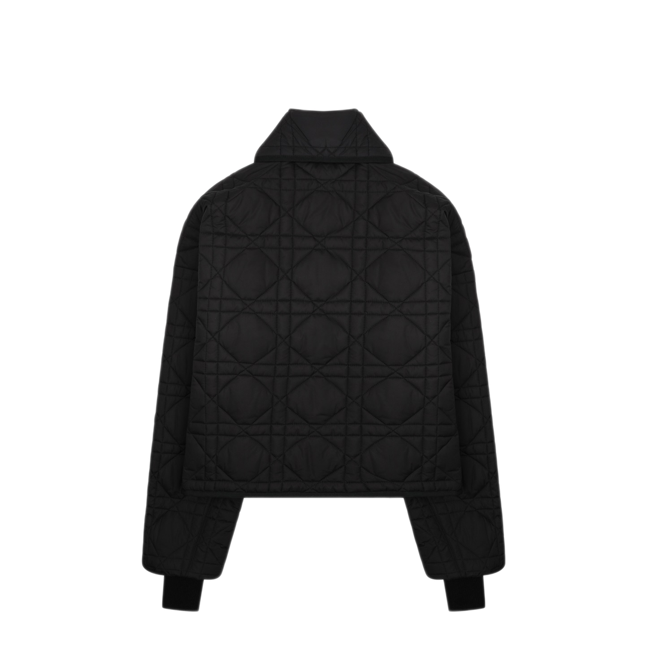 MAYFEYR - Dior - Sports Jacket With Scarf - 617C46A28279000