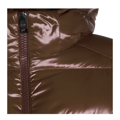 Polar Tech Hooded Down Jacket