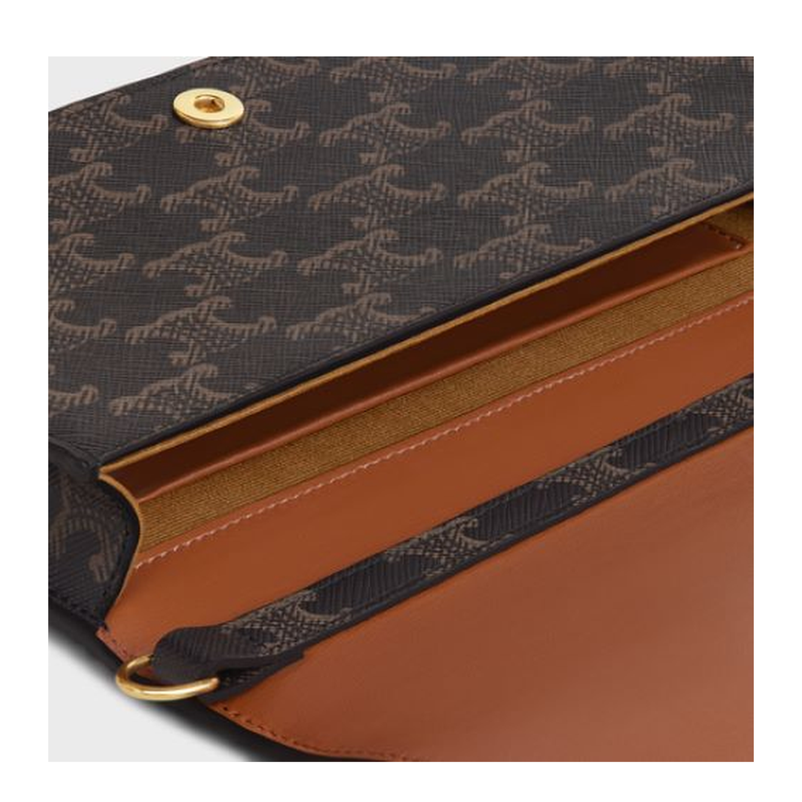 Multi Pochette Crossbody Bag with Triomphe Detail