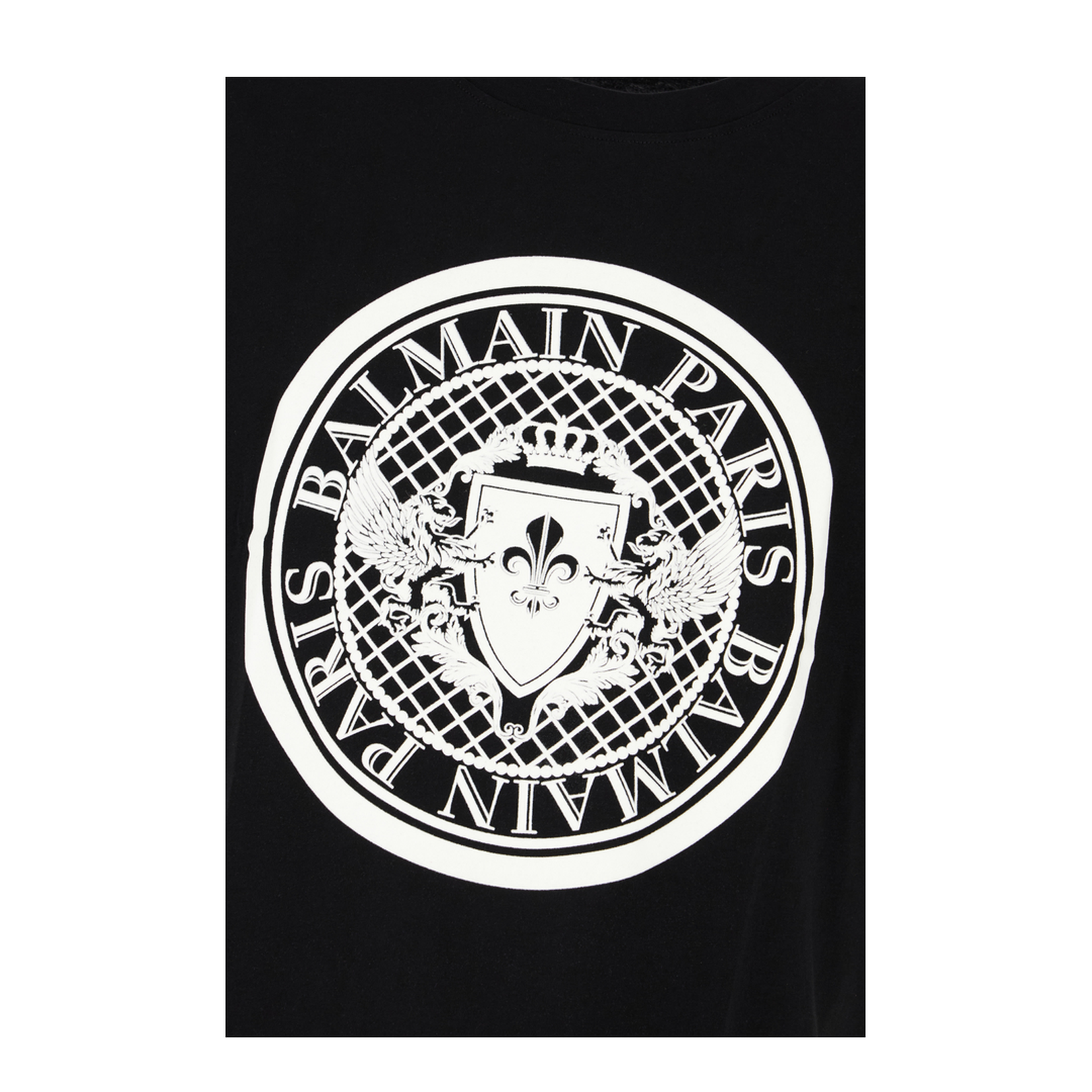 Coin Flock T-Shirt, Regular Fit