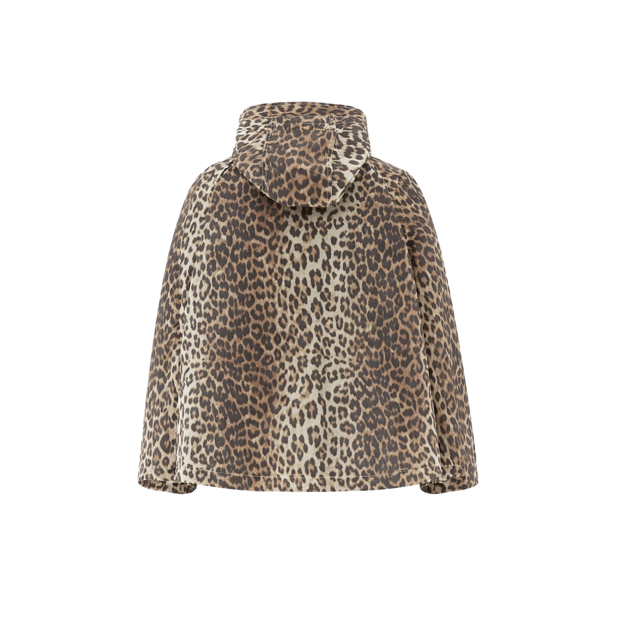 Brown Jacket