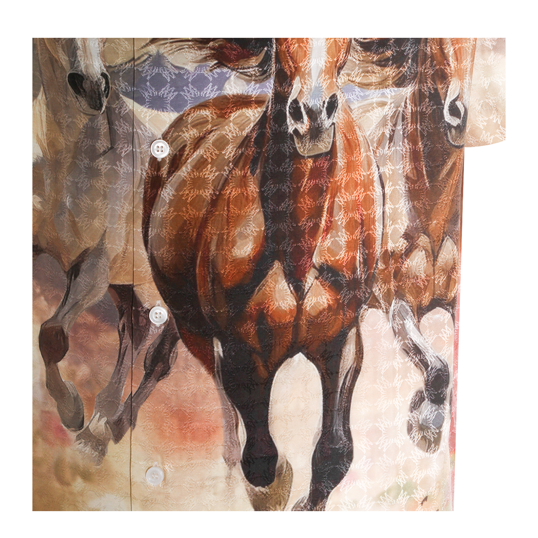 Men's Printed Shirt