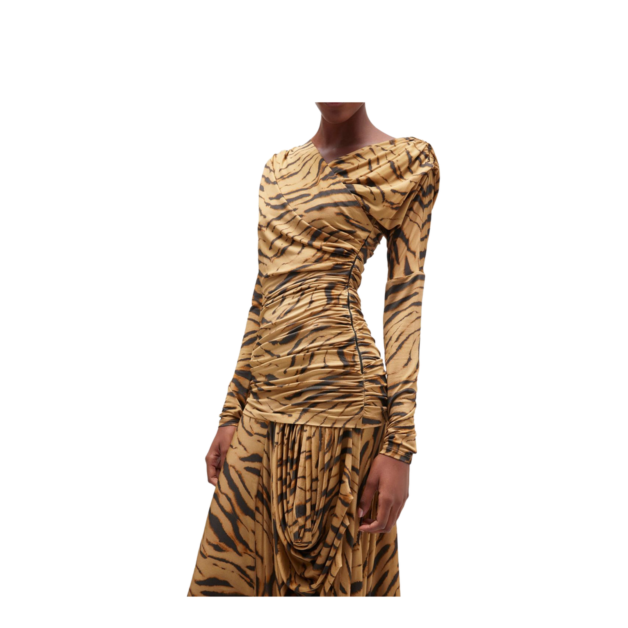 Long Dress with Zebra Print