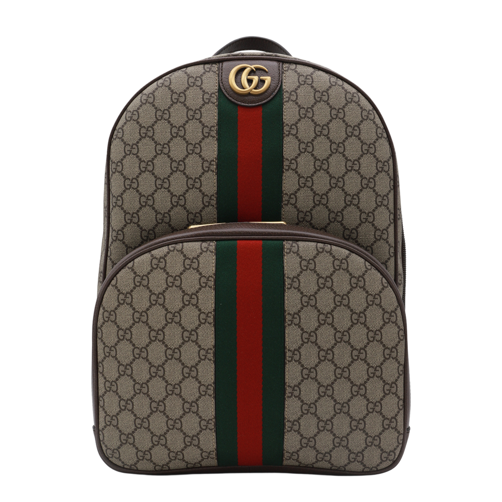 Ophidia Medium Canvas Backpack - Gray