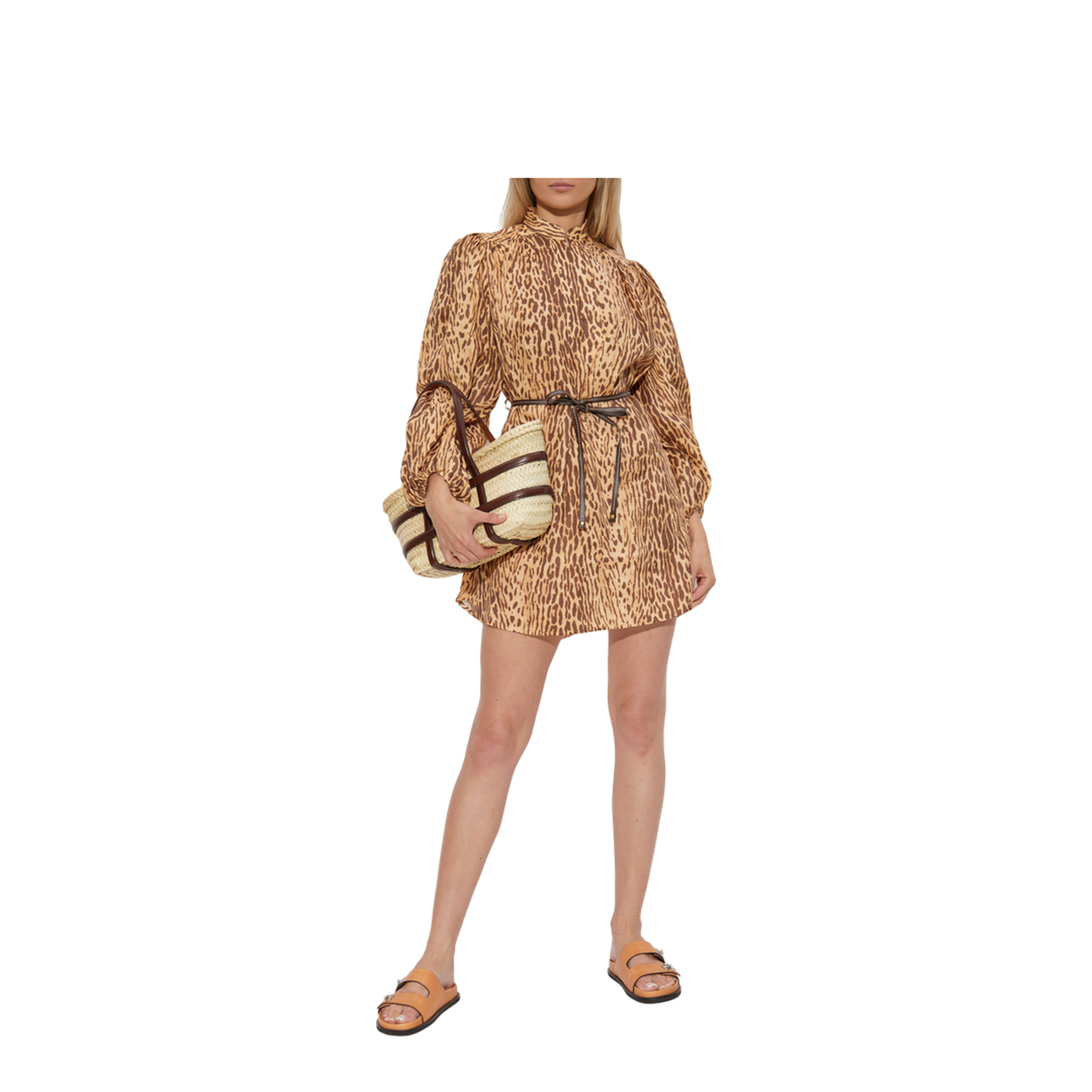 Animal Print Dress