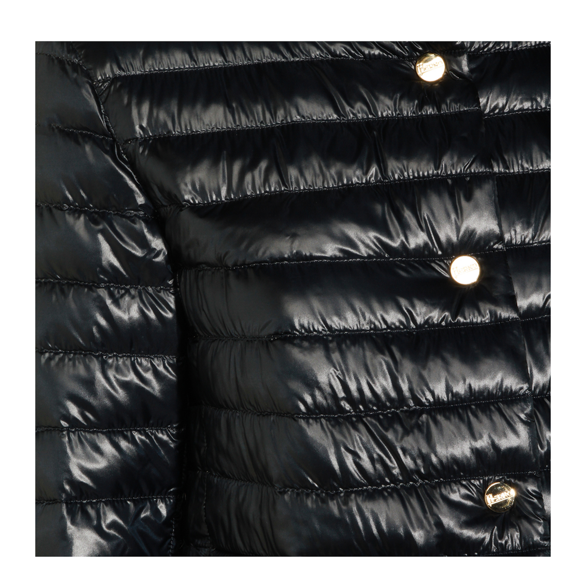 Padded Jacket