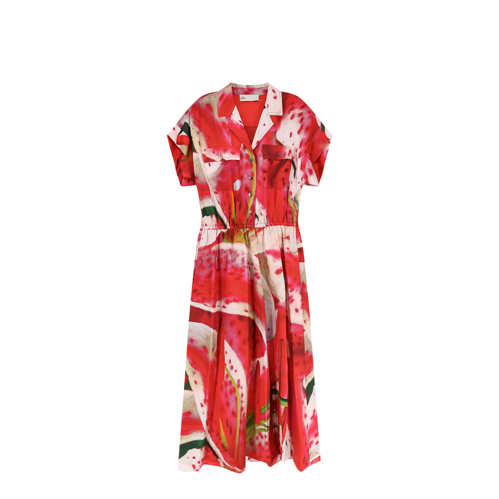 Printed Silk Chemisier Dress