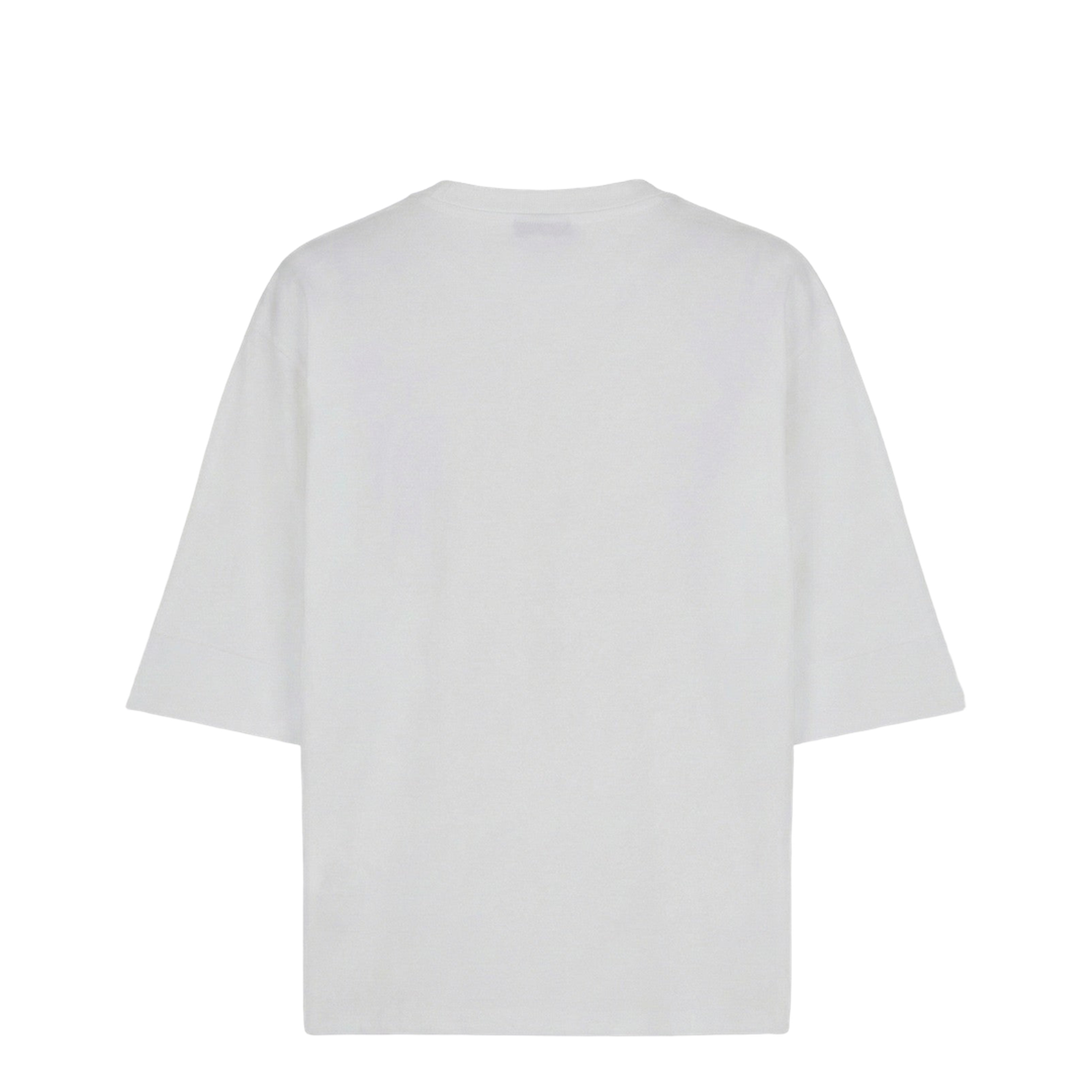 Boxy T-shirt with Paris Brush print