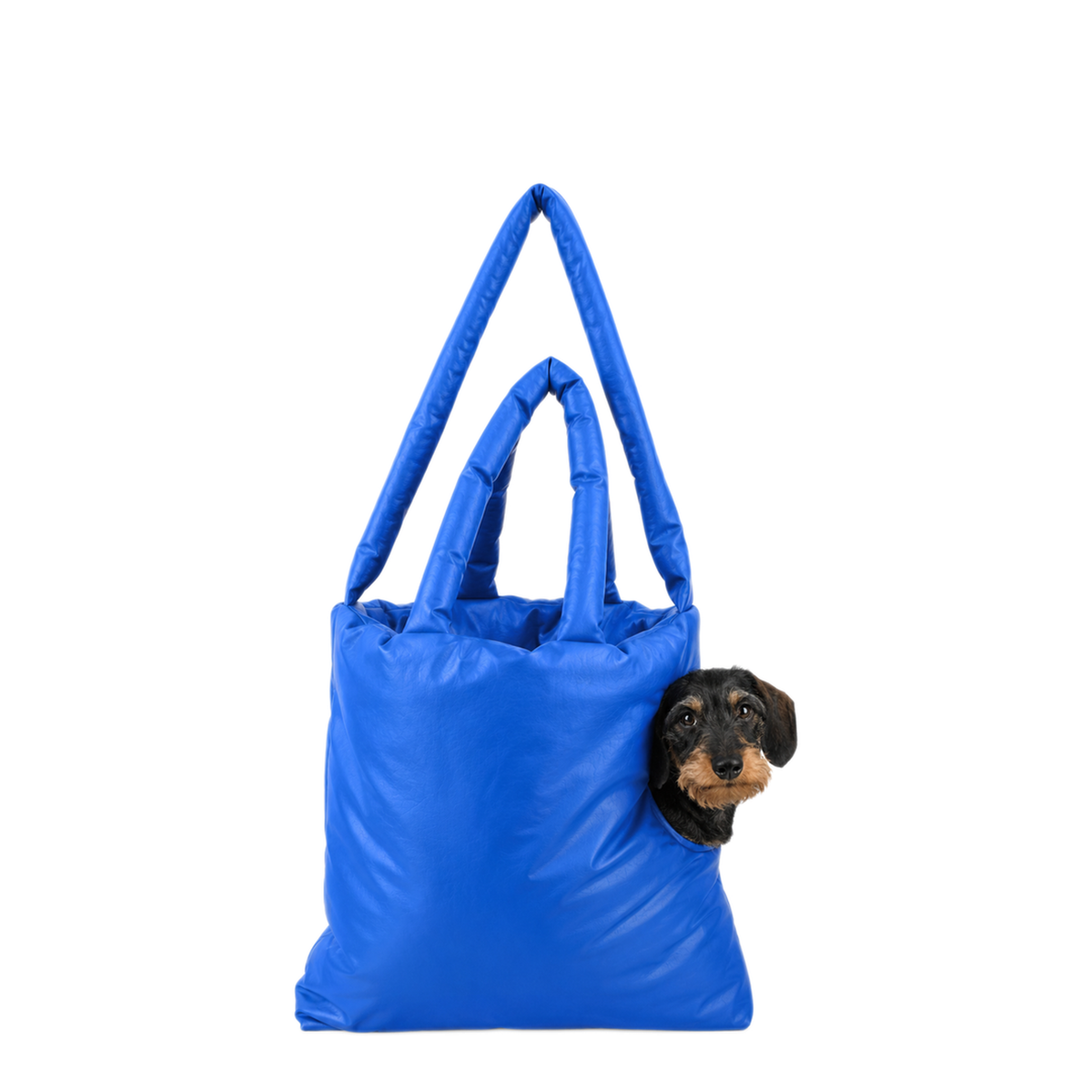 MAYFEYR - KASSL - Medium Oil Dog Bag - HOL21B27100081