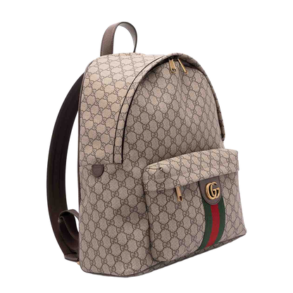 Medium Backpack in Beige and Dark Brown Fabric