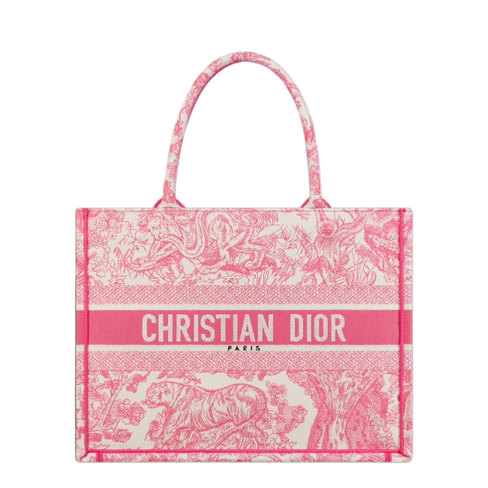Dior Women's Handbag