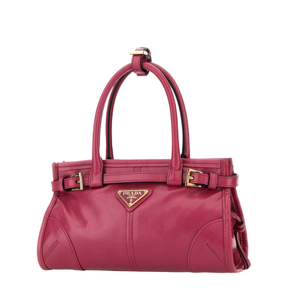 Fuchsia Leather Mini Handbag