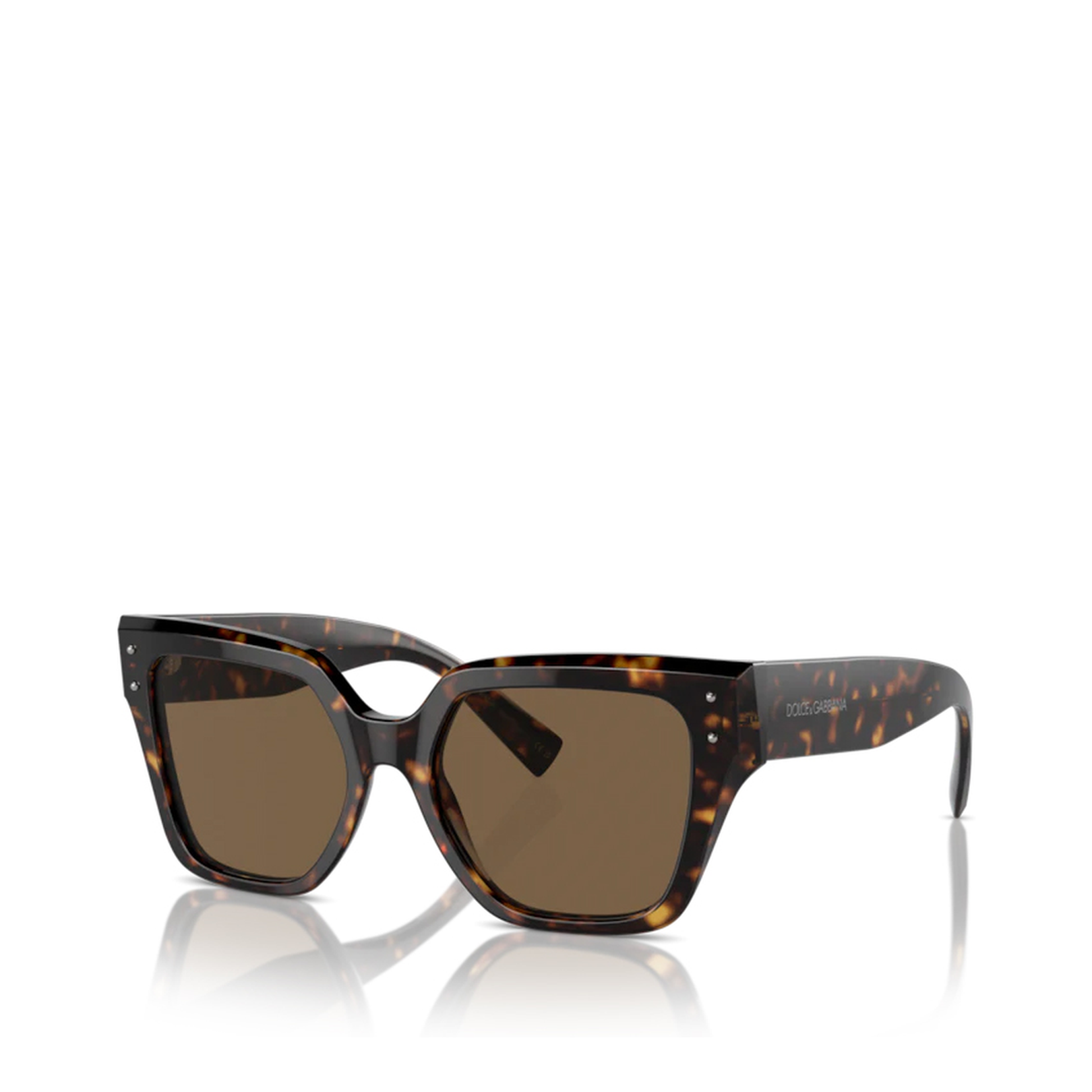 Sunglasses Brown