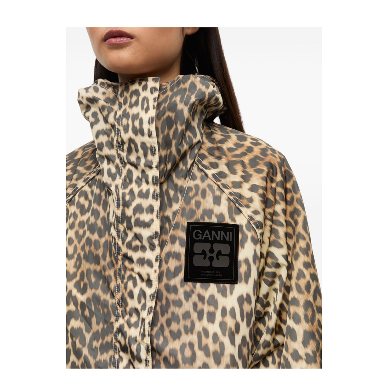 Brown Jacket