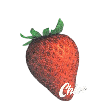 MAYFEYR - Chloè - Strawberry Print Cotton T-Shirt - CH26AJH08289