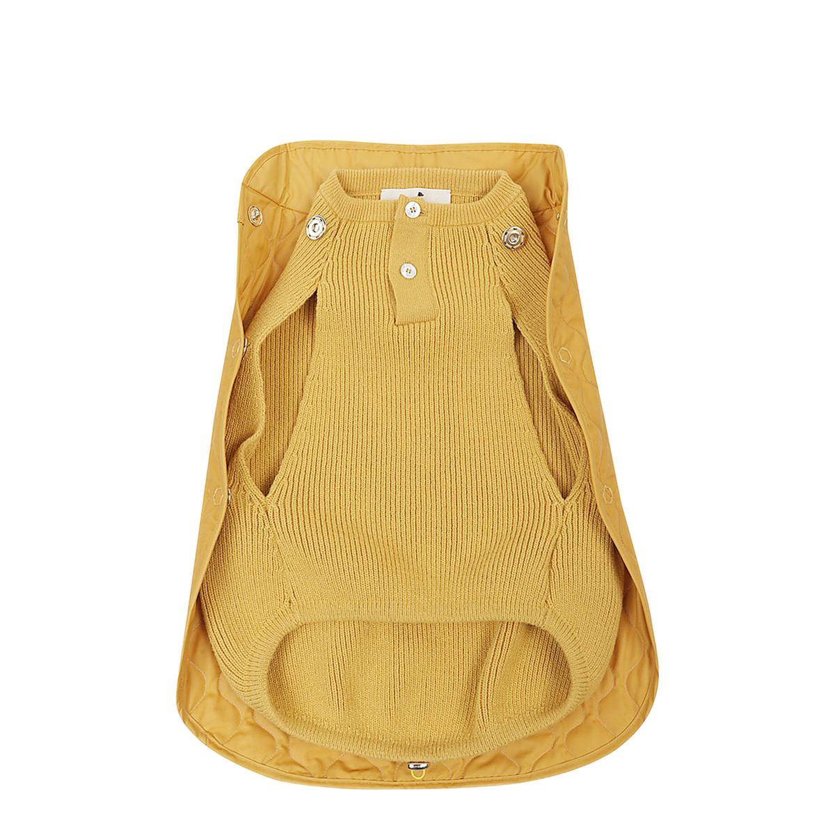MAYFEYR - Poldo Dog Couture - Lifestyle Orange - SUNNYSUMMITSM