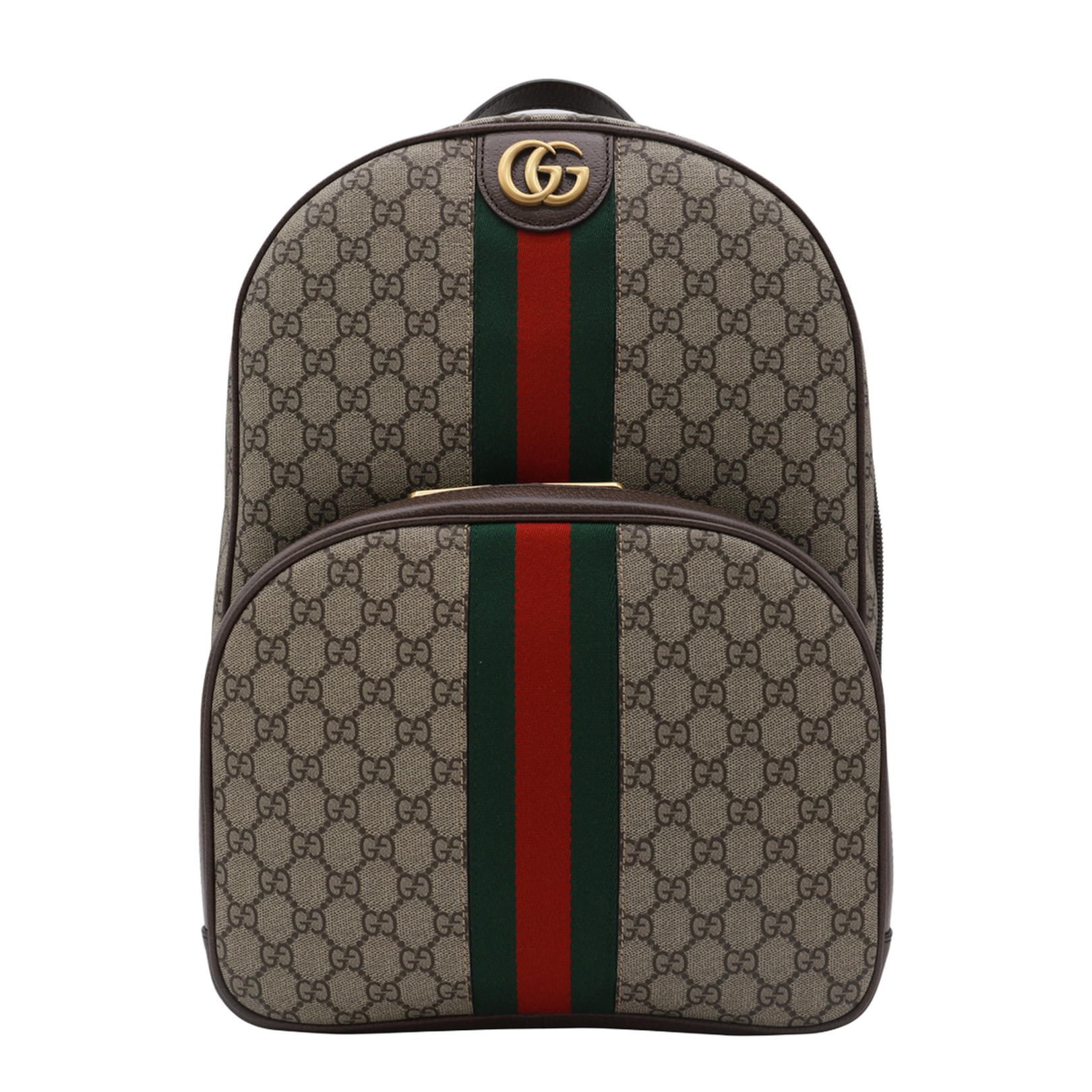 Ophidia Medium Canvas Backpack - Gray