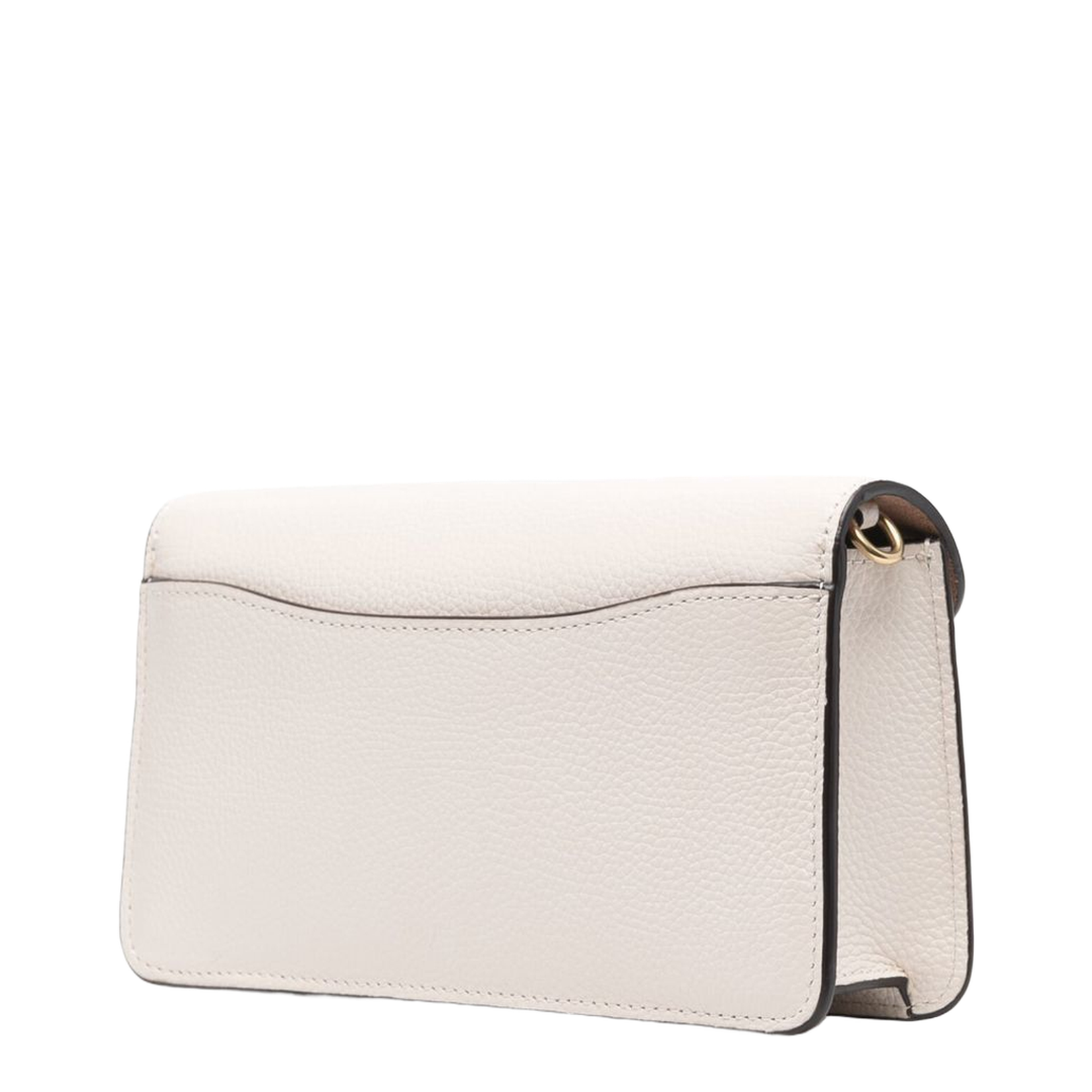 Tabby Chain Clutch