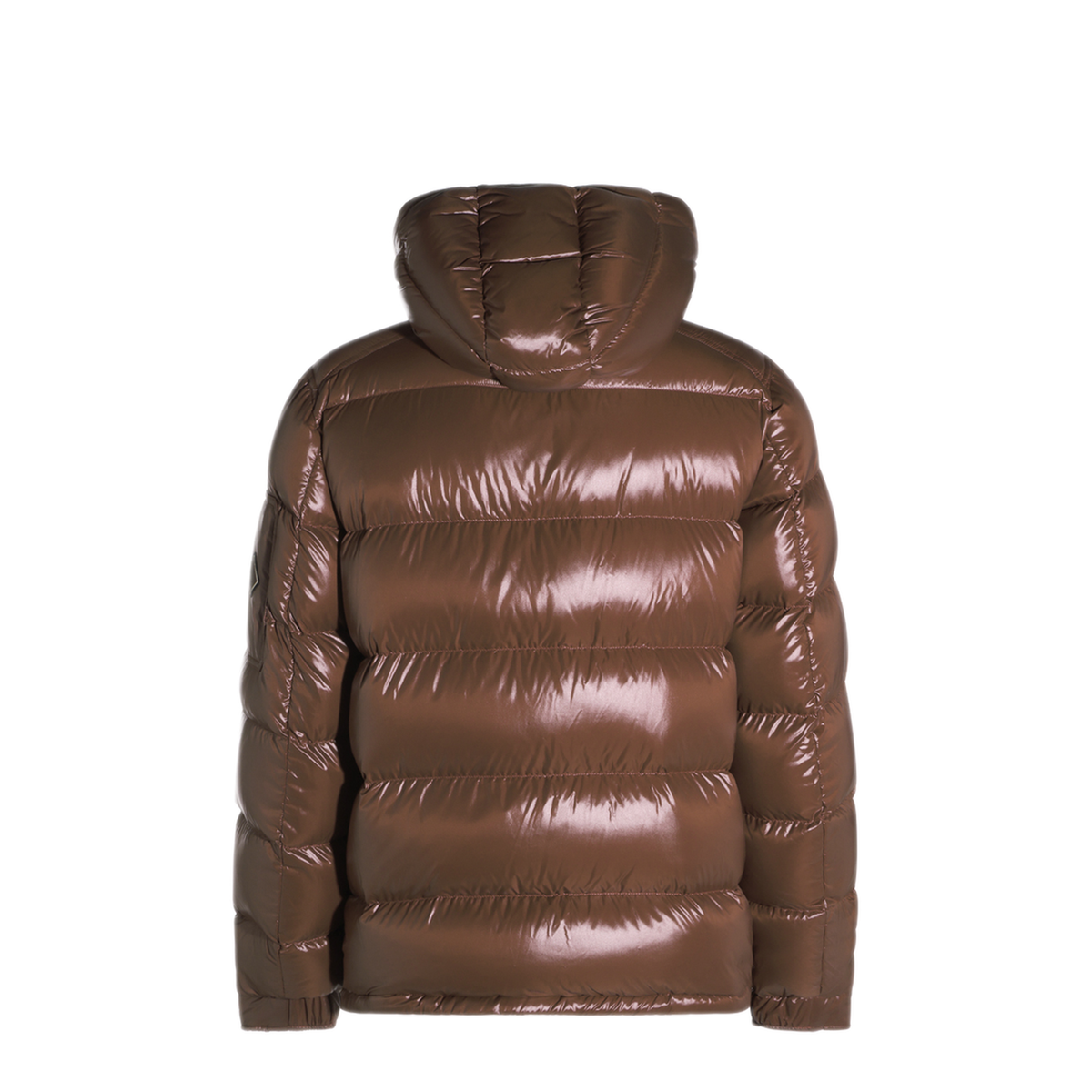 Polar Tech Hooded Down Jacket
