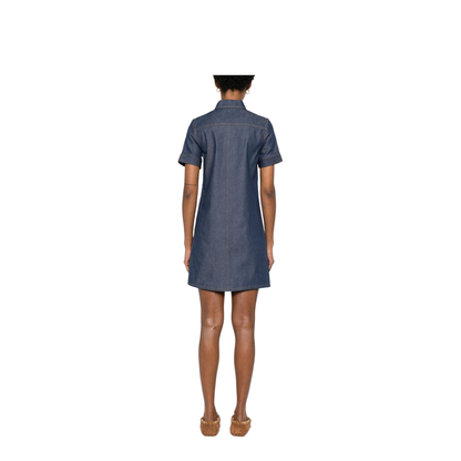 Denim Mini Chemisier Dress