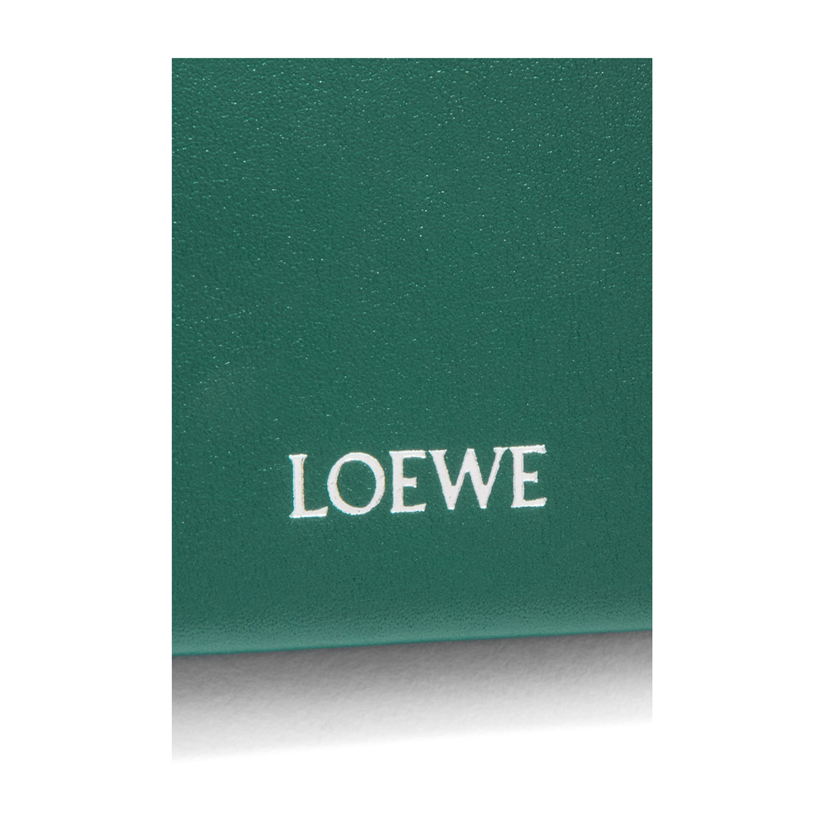 Card Holder with Coin Pocket