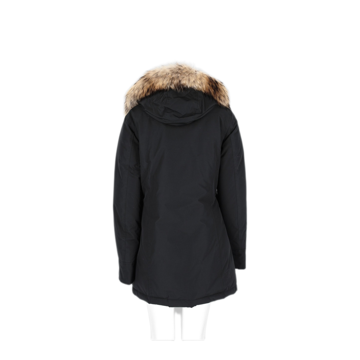 Arctic Raccoon Parka