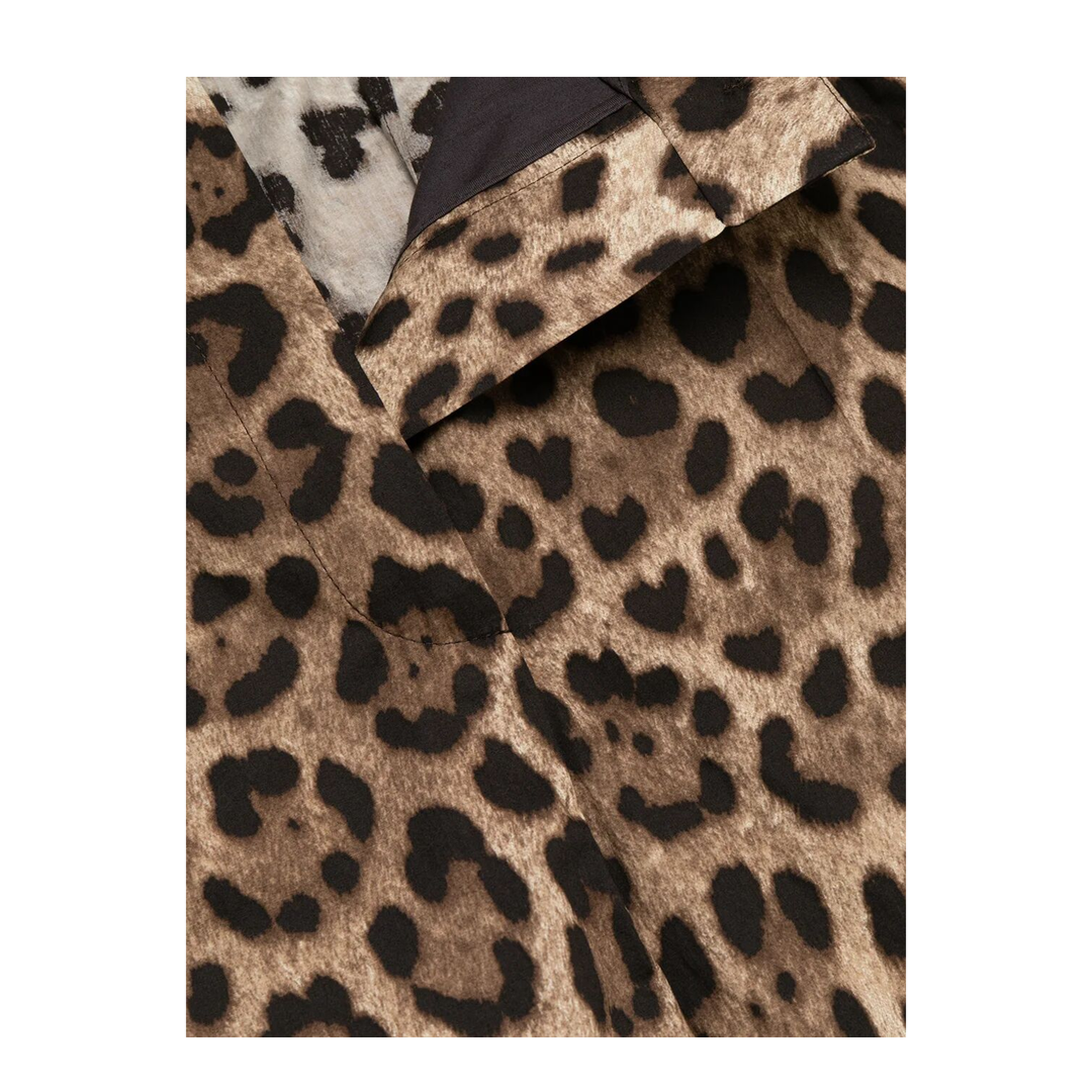MAYFEYR - Dolce & Gabbana - Leopard-Print Poplin Shorts - FTASXTHS5E3