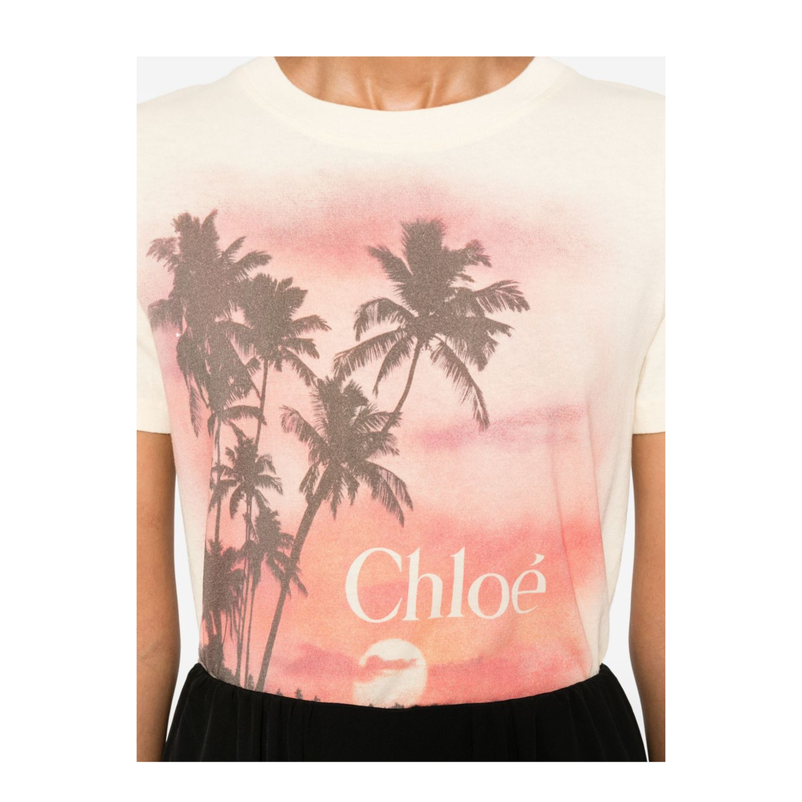 Logo T-Shirt in Cotton Jersey