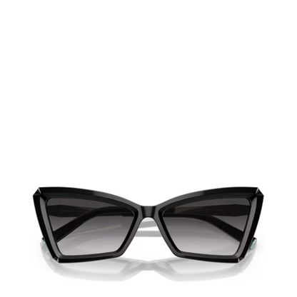 Sunglasses Black