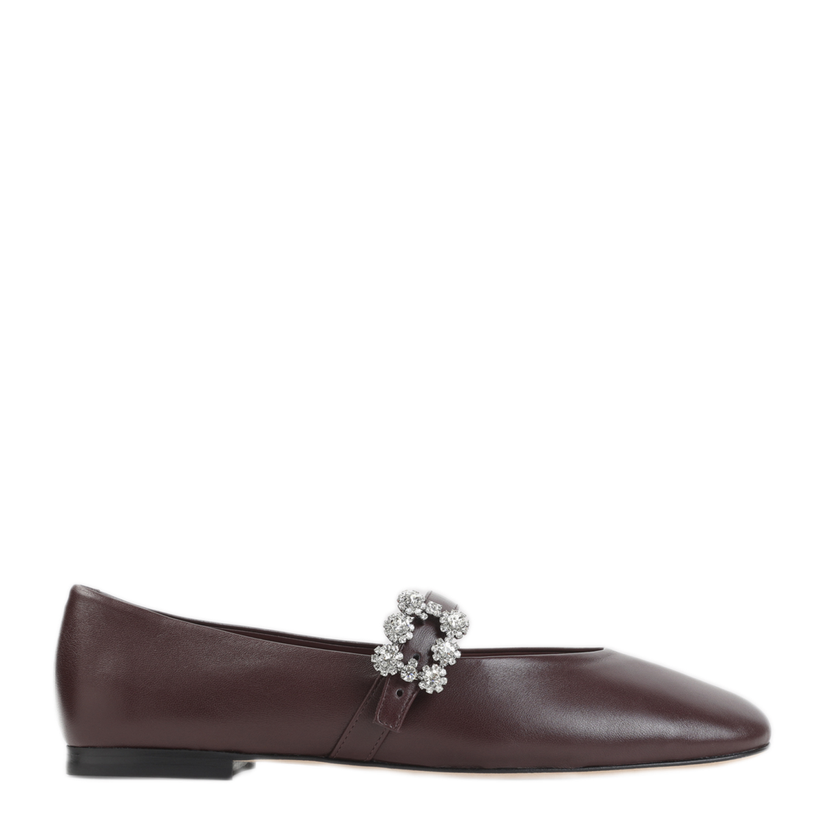 Efflorescence Strap Ballerina Flats