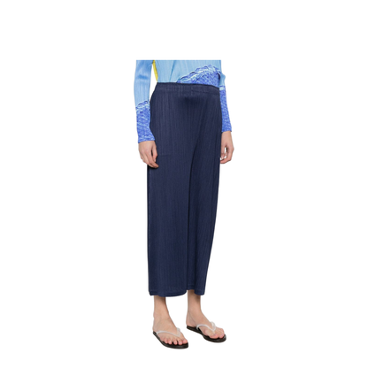 Pleated Pants