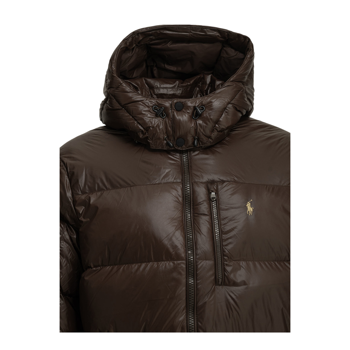 MAYFEYR - Polo Ralph Lauren - Gorham Short Down Jacket - 710968281500NUTMEGBROWNGLOSSY