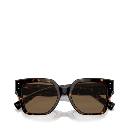 Sunglasses Brown