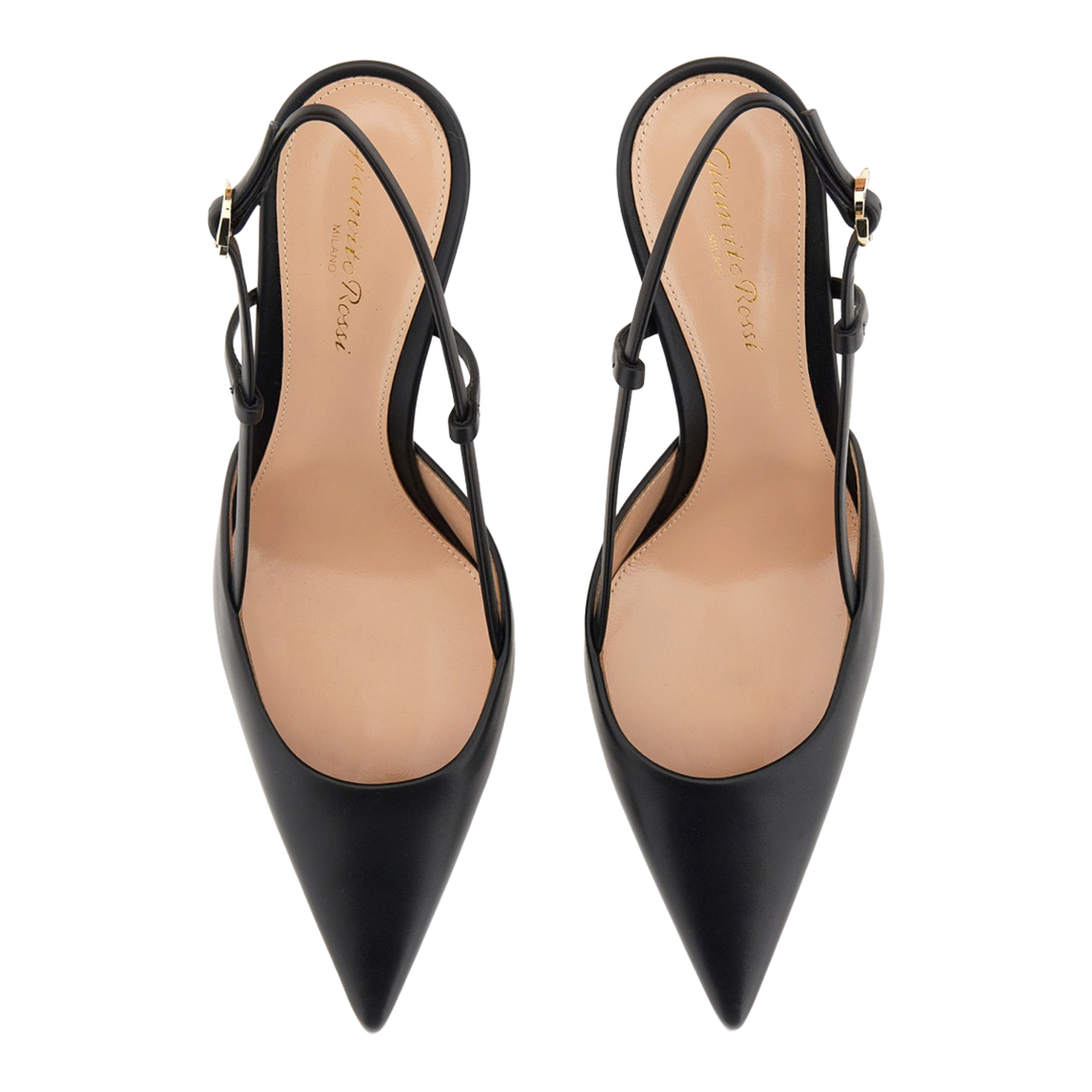 Ascent Pumps