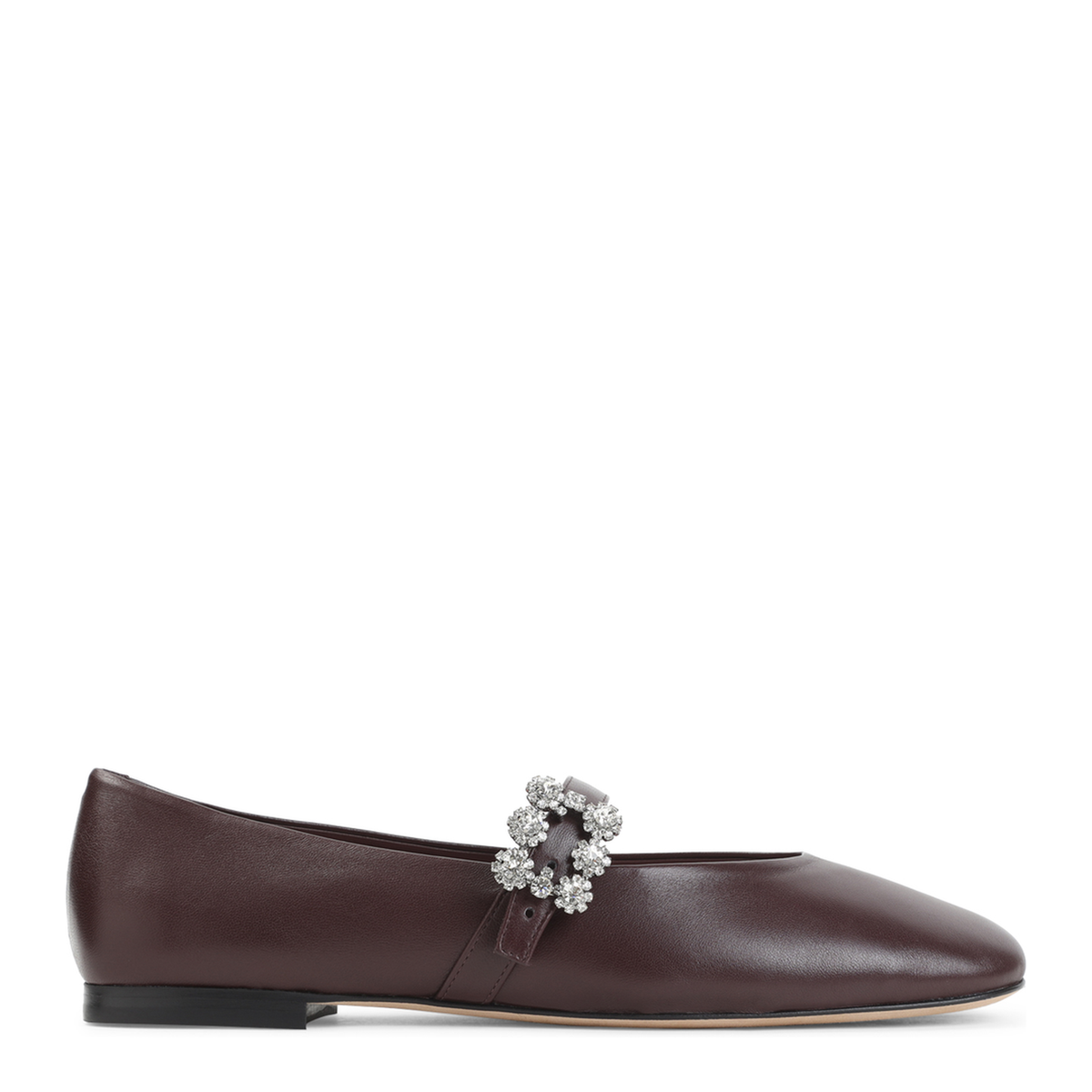 Efflorescence Strap Ballerina Flats