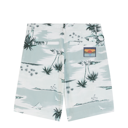 Board Shorts