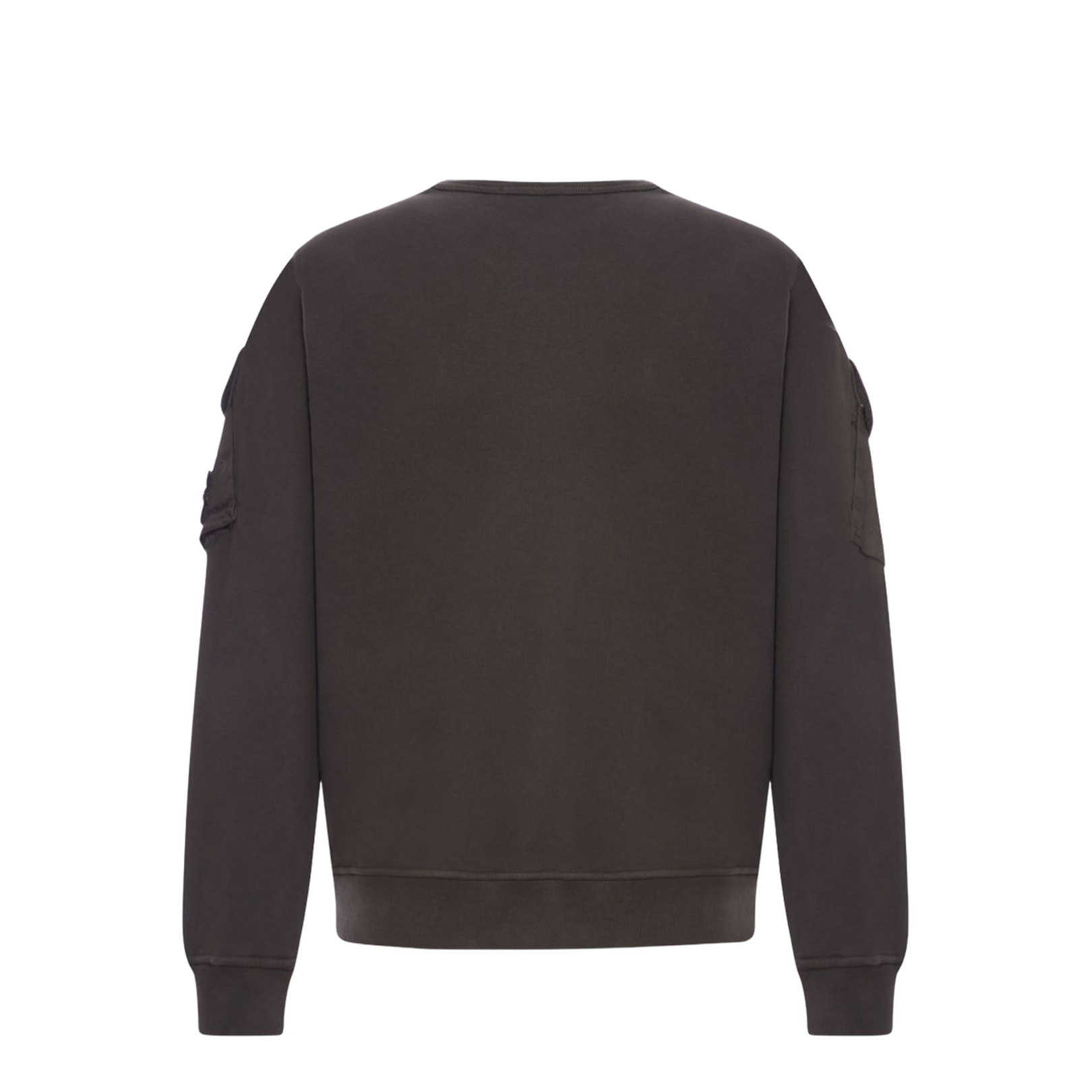 Crewneck Sweatshirt in Brushed Organic Cotton Fleece