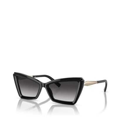 Sunglasses Black